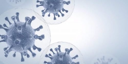 Cvirus.- Estados Unidos inicia un gran ensayo clínico para probar tres fármacos inmunomoduladores contra el COVID-19 Inmunomoduladores Y Qué Papel Juegan En El Tratamiento Del COVID-19