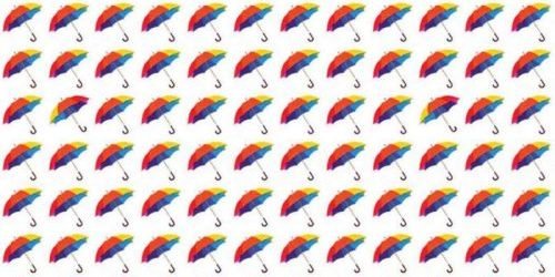 HJ3I35ZIXRF4FNGTUSAAQPGRII Reto visual que se convierte en viral | Consigue el paraguas diferente