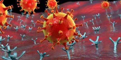 La Tecnología DuctFIT Es Capaz De Eliminar El COVID-19 En 5 Minutos La Tecnología DuctFIT Es Capaz De Eliminar El COVID-19 En 5 Minutos