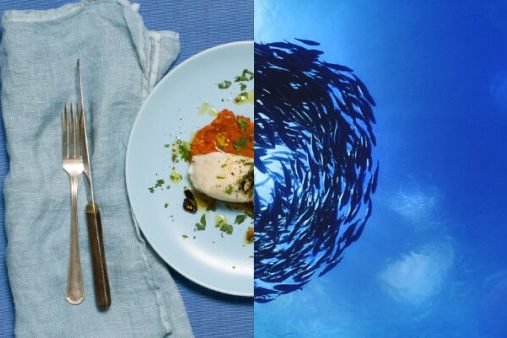 Jornada sobre sostenibilidad pesquera organiza Marine Stewardship Council (MSC)