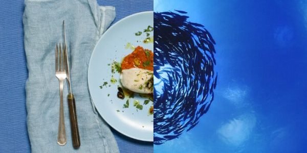 Jornada sobre sostenibilidad pesquera organiza Marine Stewardship Council (MSC) Jornada sobre sostenibilidad pesquera organiza Marine Stewardship Council (MSC)