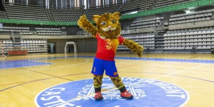 Castelló da impulso al “Ciutat” como sede internacional para el Mundial de Balonmano-. Castelló da impulso al “Ciutat” como sede internacional para el Mundial de Balonmano