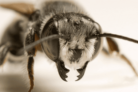 El bioplástico: una alternativa sostenible