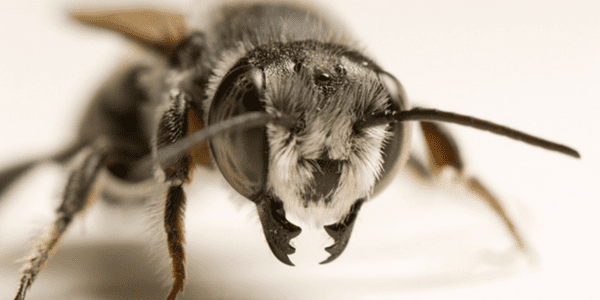 El bioplástico: una alternativa sostenible El bioplástico: una alternativa sostenible